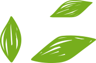 Organic Cardamom Leaf