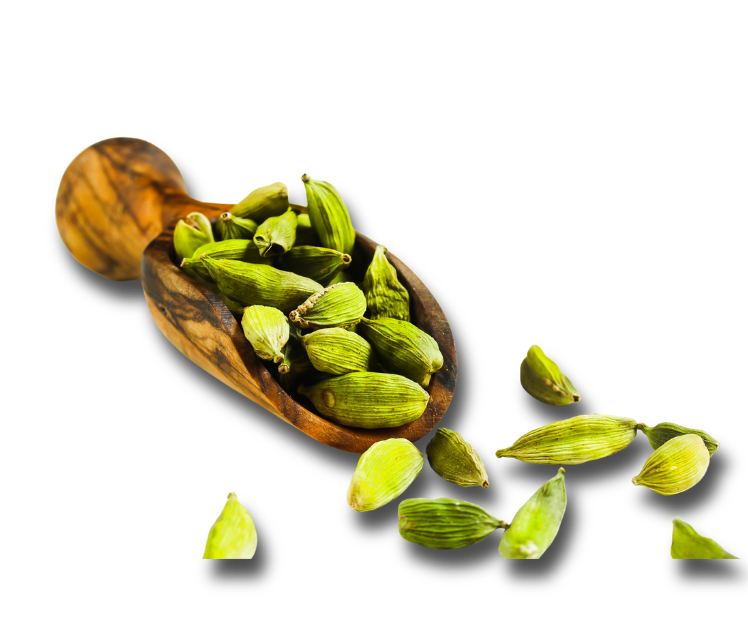 Organic Bodinayakanur Cardamom Offer