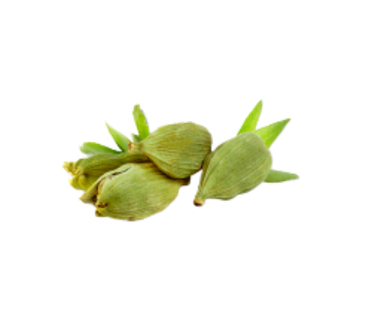 Contact Thameem Exporters Cardamom Team